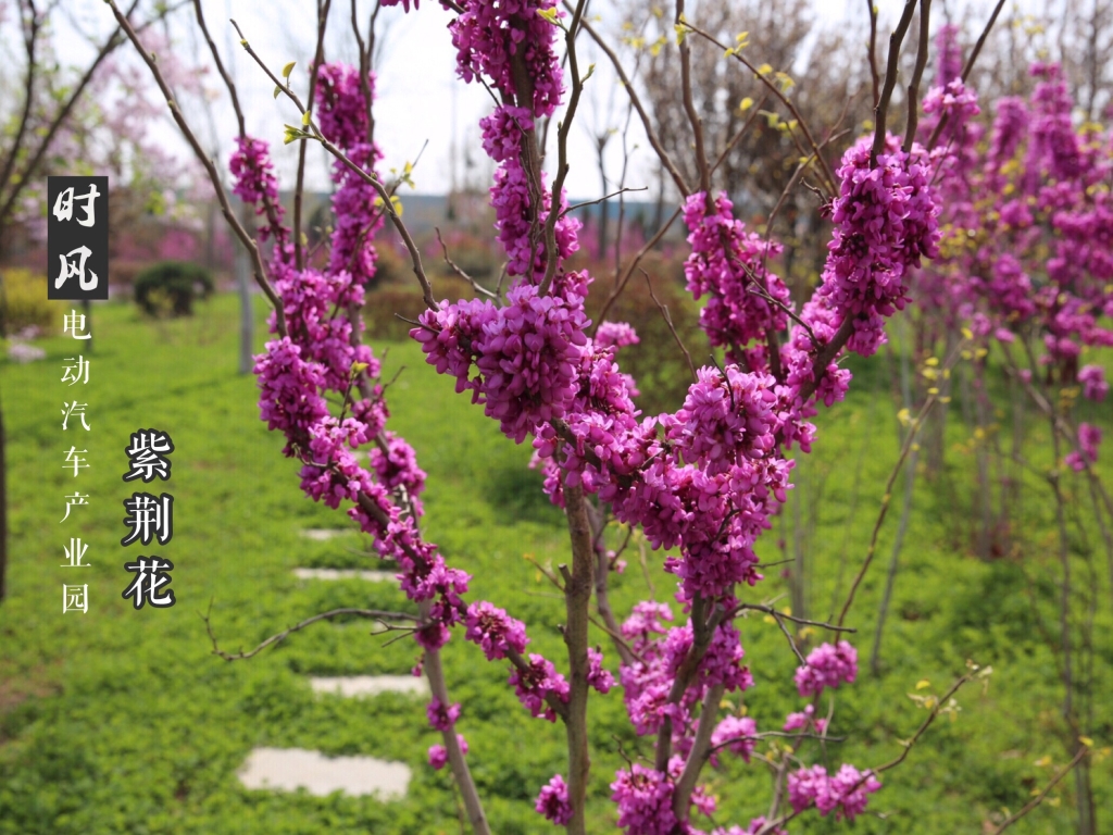 bwin必赢电动工业园紫荆唬；；；；